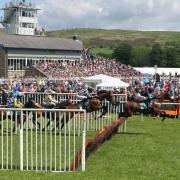The jump in front of the grandstand at Cartmel Racecourse.