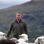 Jon Watson with his Herdwick sheep at Tarn Hows