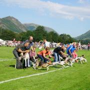 Grasmere Sports and Lakeland Show