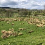 A lake is to be created on land at Town End farm. Picture: Lake District National Park Authority planning portal