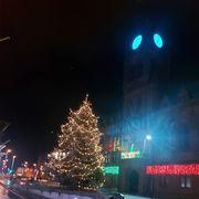 Barrow's Christmas tree lit up opposite the Town Hall taken by Mail Camera Club member Colin Hale