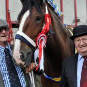 Hawkshead Show from 2012, with Allan Boulton (left), the winning horse he handled in a competition, and George Emott (right)