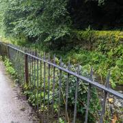 The newly installed fence at Gill Banks in Ulverston