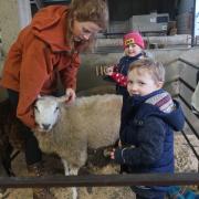 Young handlers Harry and Isla begin grooming for the show