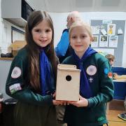The council is hoping to have 40 bird and bat boxes made