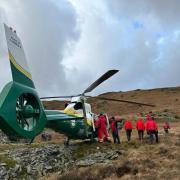 Eight of the incidents involved the use of a helicopter