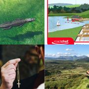 Crocodiles, 'sail-thru,' AI generated priests and EV for MRT