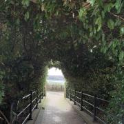 A beautiful hidden archway
