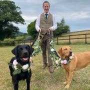 Nigel Oldroyd, co-founder of Dapper Dog Weddings, pictured with Bonnie and Buddy
