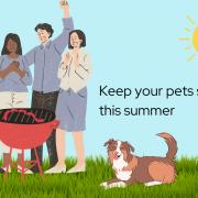 PDSA BBQ safety for pets