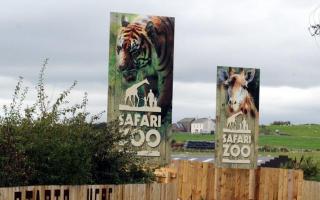 ZOO: South Lakes Safari Zoo