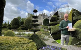 Levens Hall and Gardens has begun a topiary relay